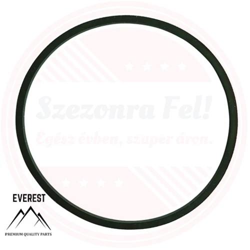 ÚSZÓHÁZ TÖMÍTÉS SZÉLES BRIGGS&STRATTON 693981