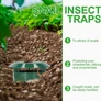 Kép 4/4 - 6 db csigacsapda készlet – Vegyszermentes csiga- és meztelencsiga csapda
