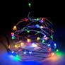 Kép 1/3 - Tündérfény fényhuzal 2m 20 LED SZÍNES
