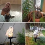 Kép 5/7 - Napelemes LED Bagoly Kerti Világítás IP44-4