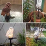 Kép 5/7 - Napelemes LED Bagoly Kerti Világítás IP44-4