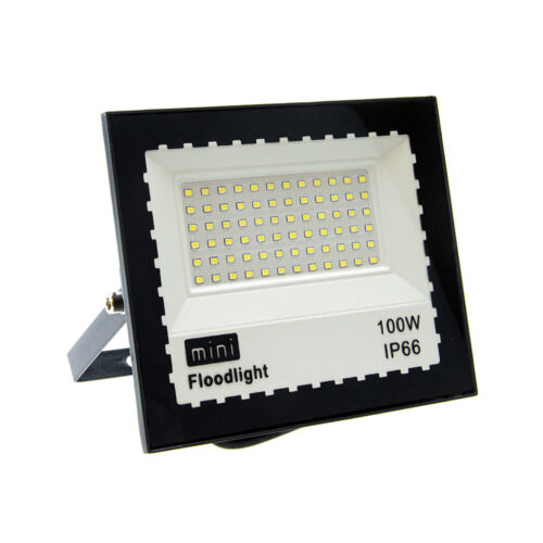Mini kültéri LED reflektor 100W 175x140mm FLX-100LBS